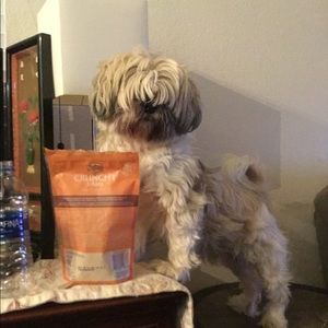 Meet your Posher, Bill